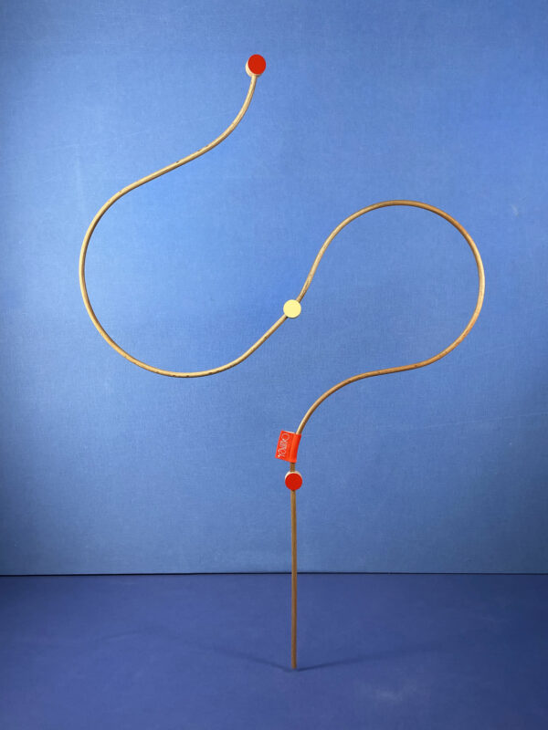 IMG_4971 Brindille N°98